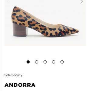 Sole Society Andorra Leopard Heels